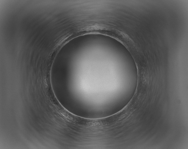 X0000054361217200508011211