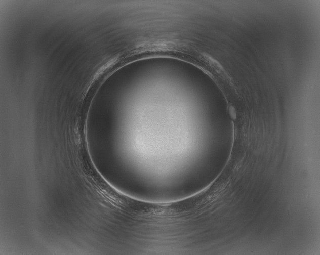X0000054361218200508011211