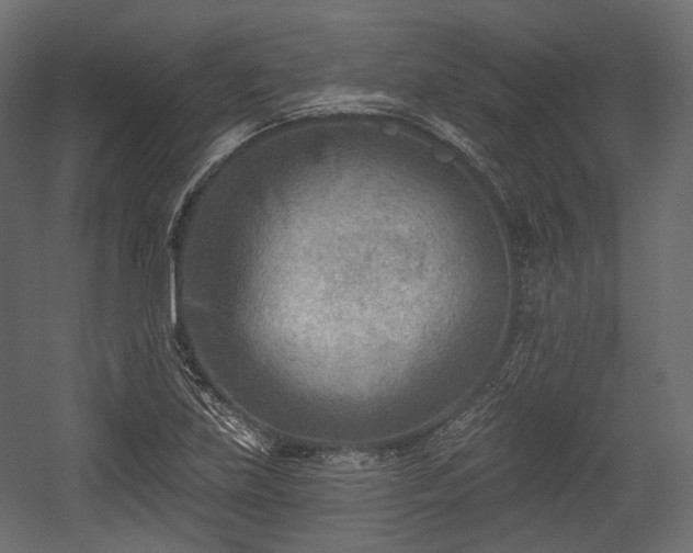 X0000054361219200508011211
