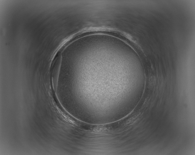 X0000054361221200508011211