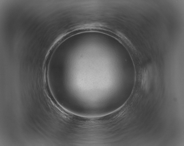 X0000054361224200508011212