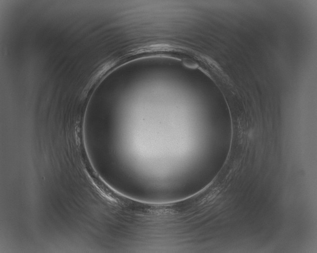 X0000054361225200508011212