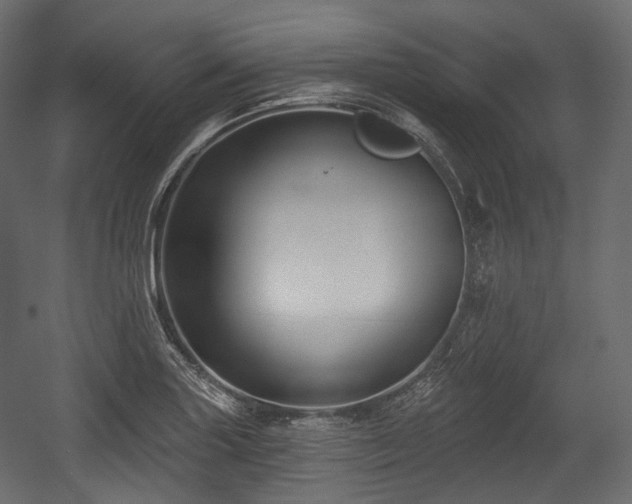 X0000054361227200508011212