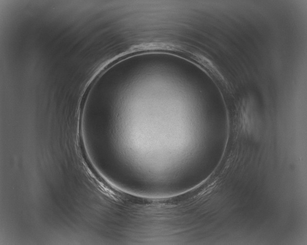 X0000054361228200508011212