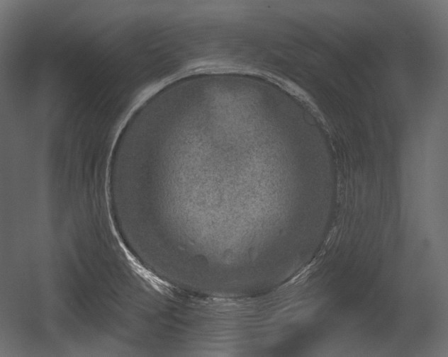 X0000054361231200508011212