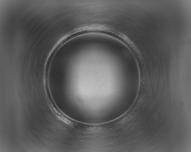 X0000054361232200508011212