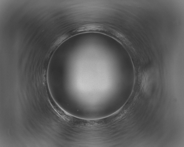 X0000054361233200508011212