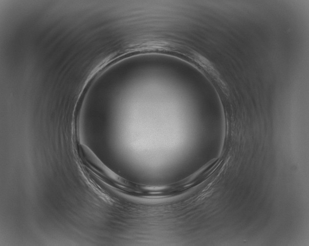 X0000054361234200508011212