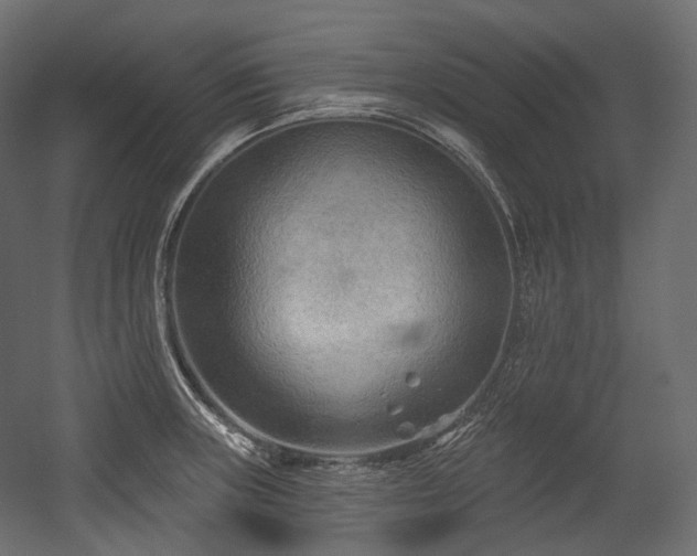 X0000054361235200508011212