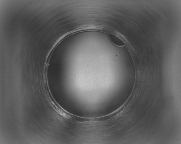 X0000054361236200508011212