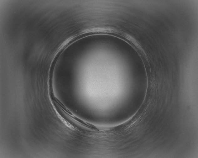 X0000054361237200508011212
