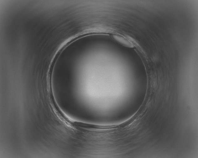X0000054361238200508011212