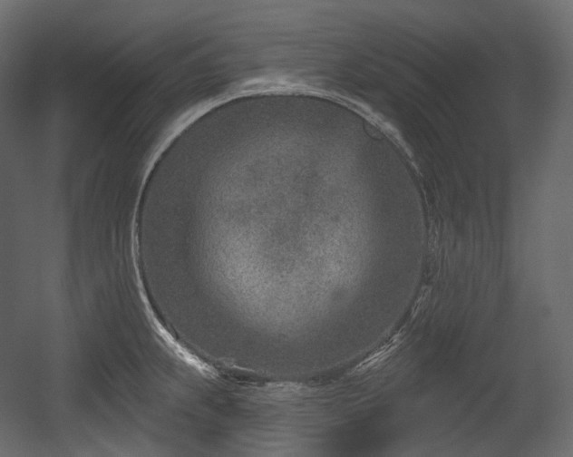 X0000054361239200508011212