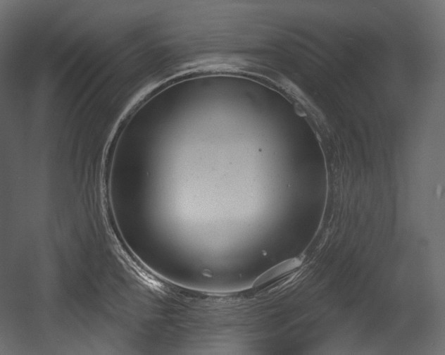 X0000054361240200508011212