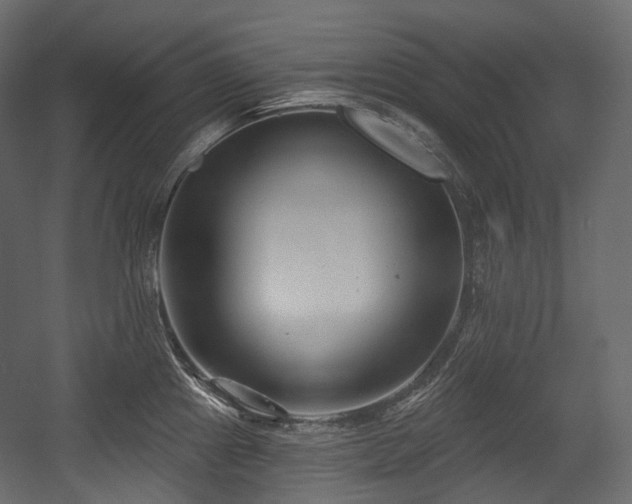 X0000054361241200508011212