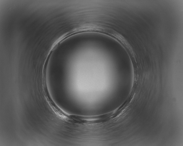 X0000054361242200508011212