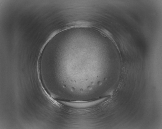 X0000054361243200508011212
