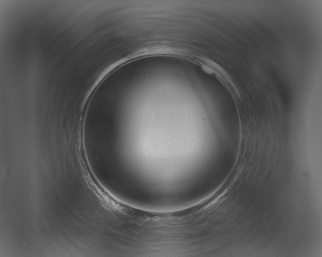 X0000054361244200508011212