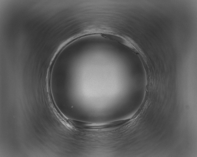 X0000054361246200508011212