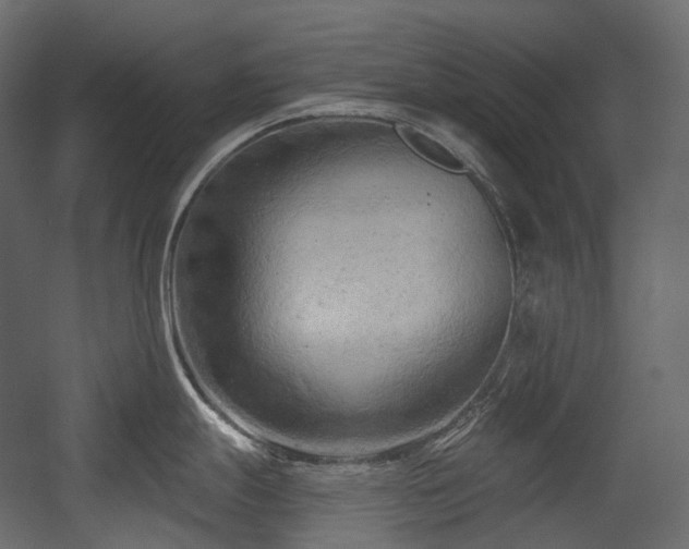 X0000054361247200508011212