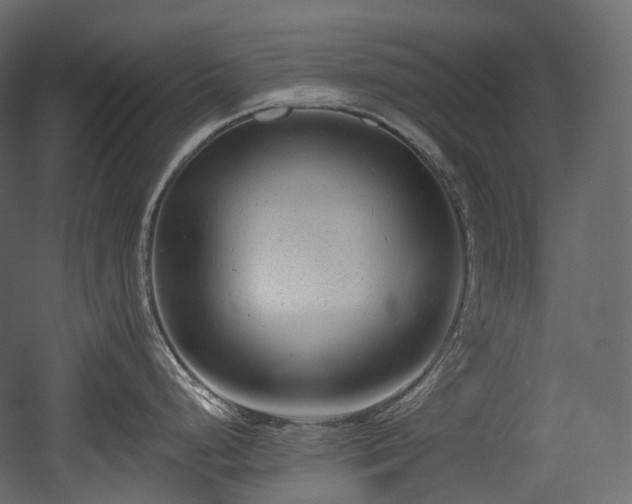 X0000054361248200508011212