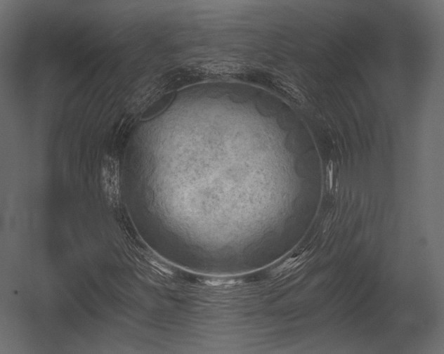 X0000054361251200508011211