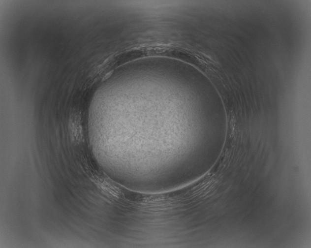 X0000054361252200508011211