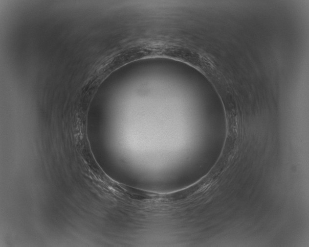 X0000054361253200508011211