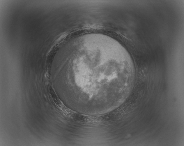 X0000054361254200508011211