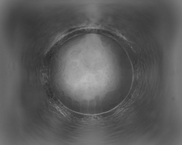 X0000054361255200508011211