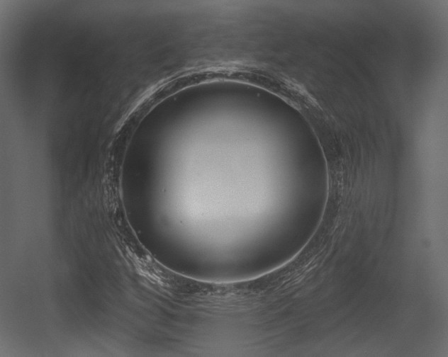 X0000054361256200508011211