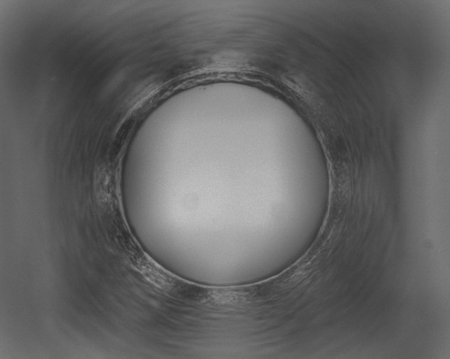 X0000054361258200508011211