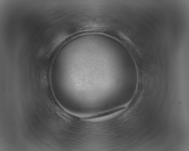 X0000054361259200508011211