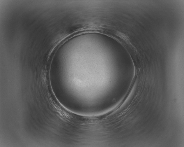 X0000054361260200508011211