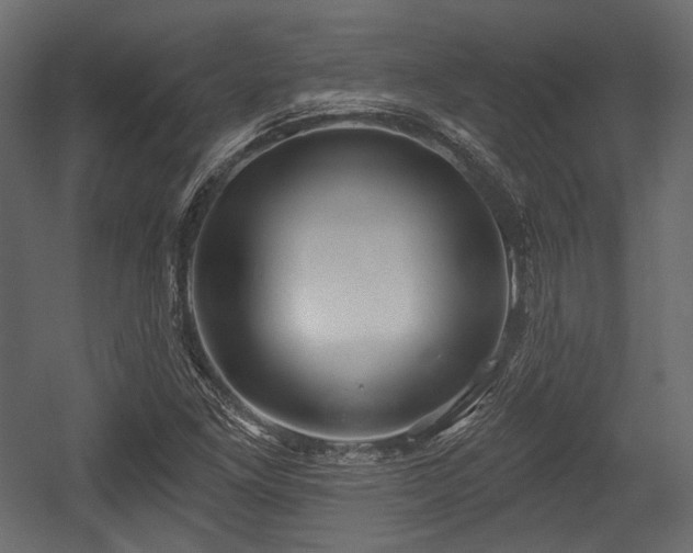 X0000054361261200508011211