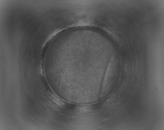 X0000054361262200508011211
