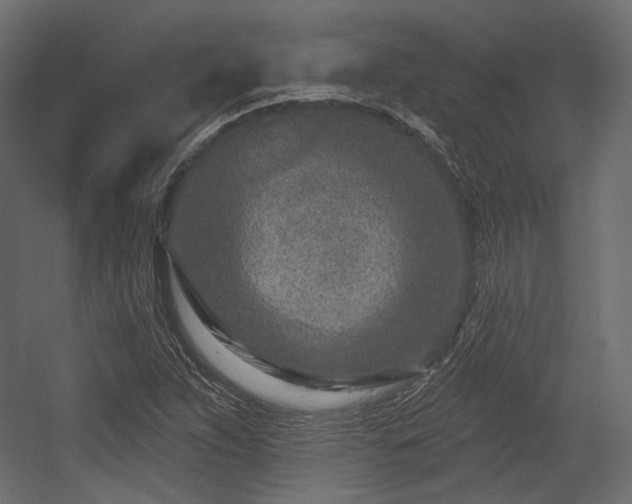 X0000054361263200508011211