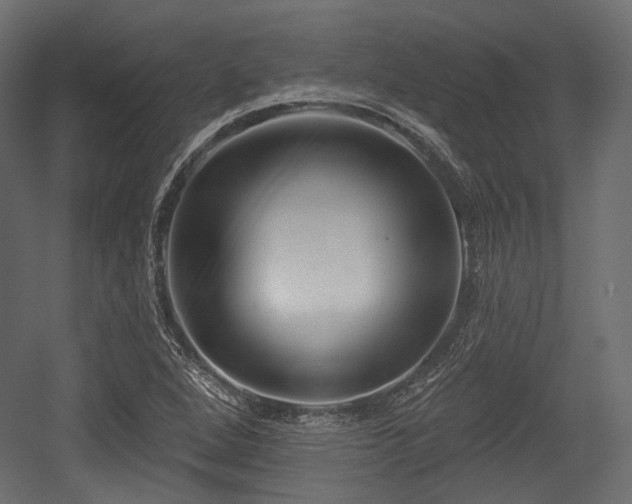 X0000054361264200508011211