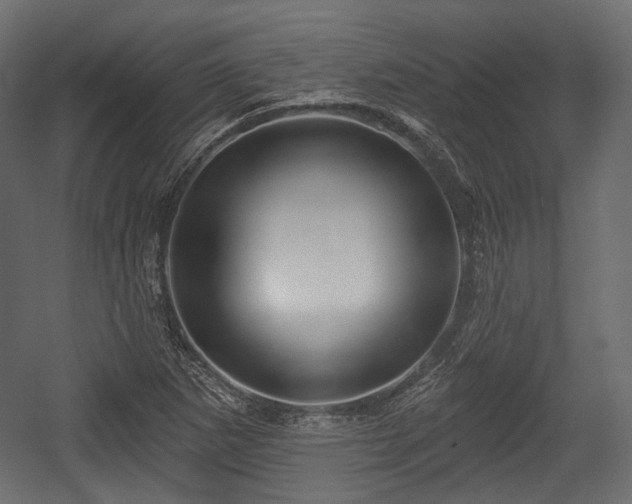 X0000054361265200508011211