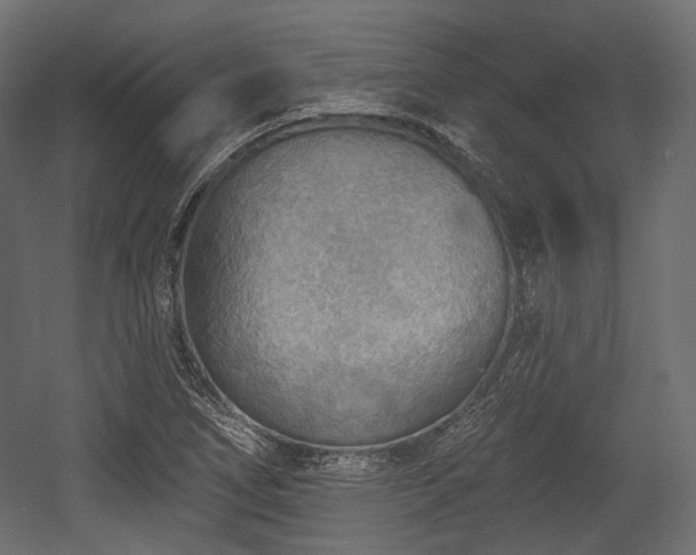 X0000054361266200508011211