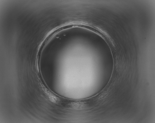 X0000054361272200508011211
