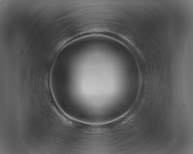 X0000054361273200508011211