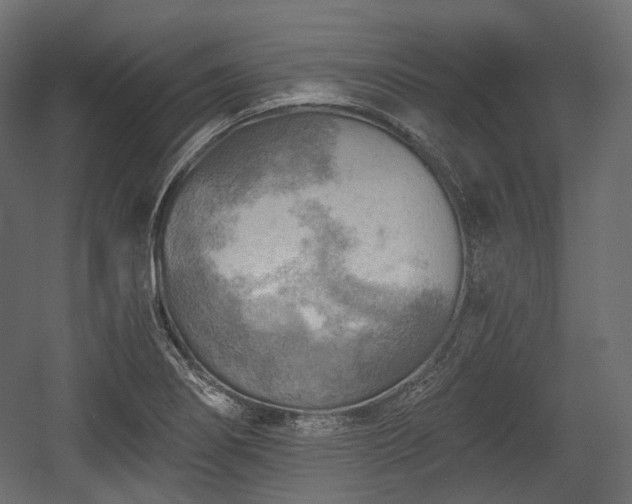 X0000054361274200508011211