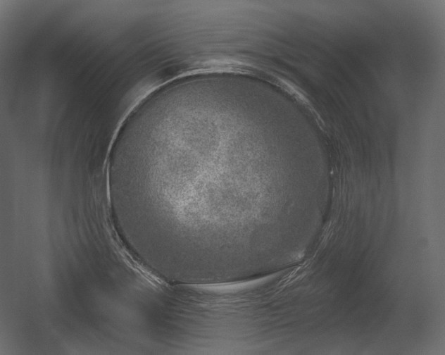 X0000054361275200508011211