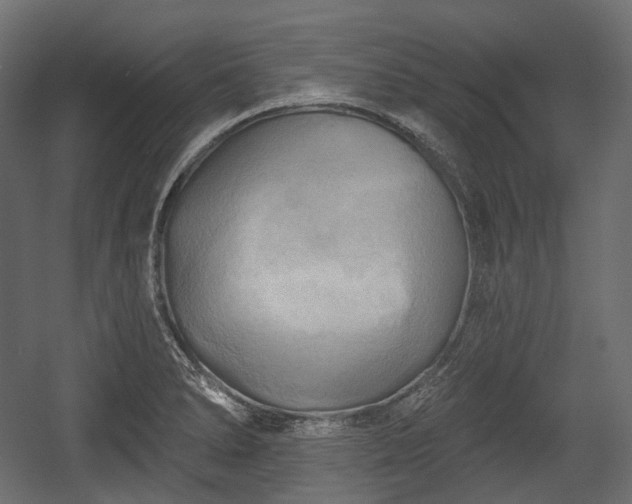 X0000054361278200508011211
