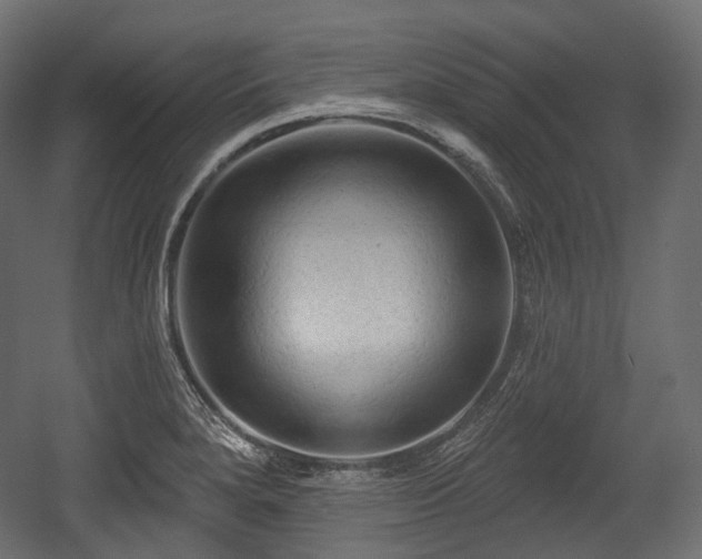 X0000054361280200508011211