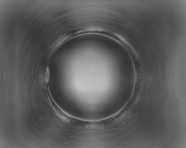 X0000054361281200508011211