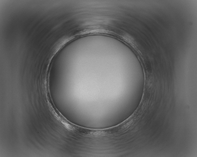 X0000054361282200508011211