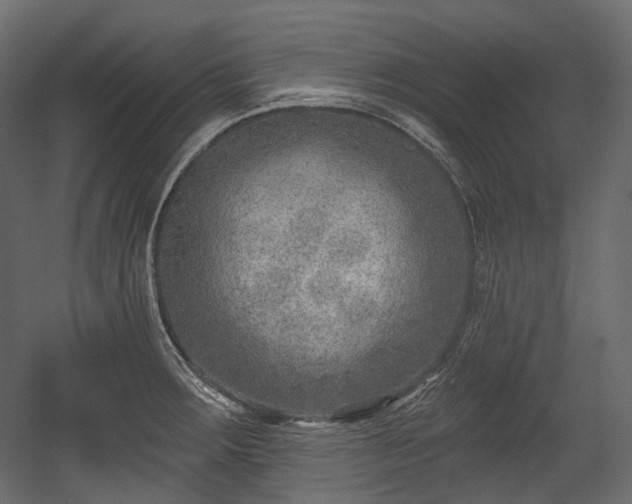 X0000054361283200508011211