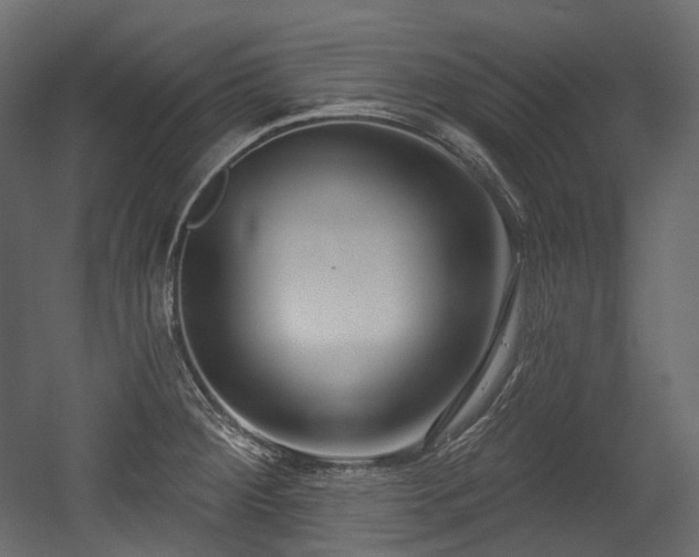 X0000054361284200508011211